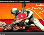 Master Moves of MMA Human Weapon