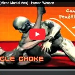 Master Moves of MMA Human Weapon