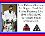Master Luiz Palhares Seminar February 13th 6PM