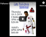 Luiz Palhares Seminar