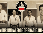 Protected: Test Your Knowledge Of Gracie Jiu-Jitsu.