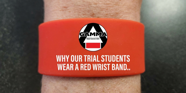 The Red Wrist Band