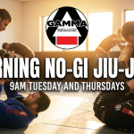 Morning No-Gi Jiu-Jitsu