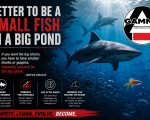 Better to Be a Small Fish in a Big Pond