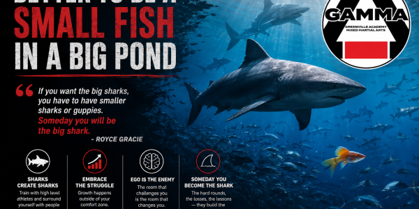 Better to Be a Small Fish in a Big Pond